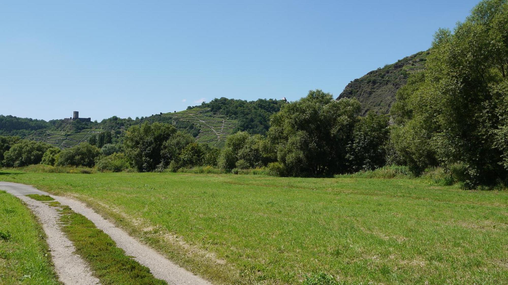 Hotel-Garni-Kachelburg Dieblich Kültér fotó