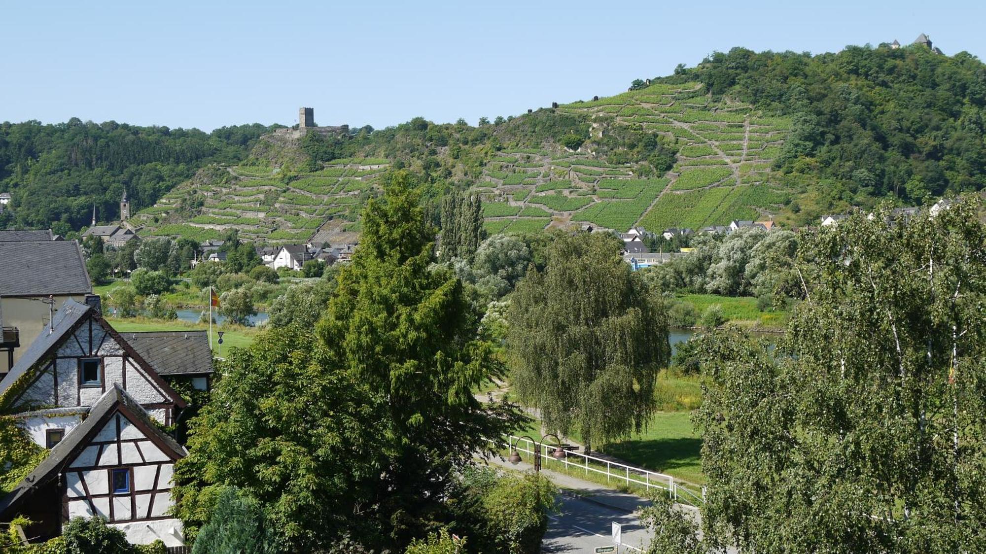 Hotel-Garni-Kachelburg Dieblich Kültér fotó